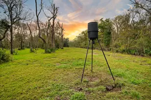 3559 Fm 521 Rd, Brazoria, TX 77422 - Photo 40