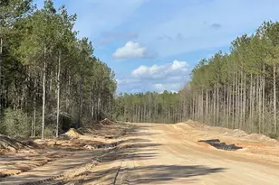 15327 Frst Grv Dr, Willis, TX 77378 - Photo 6