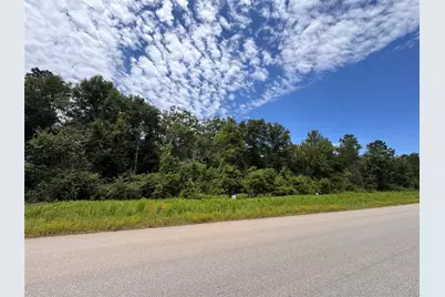 15327 Forest Grove Drive, Willis, TX 77378 - Photo 2