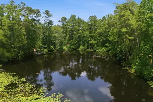 223 Pin Oak Ln, Magnolia, TX 77354 - Photo 44