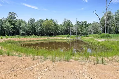 1111 County Road 4370, Woodville, TX 75979 - Photo 32