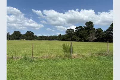 Tbd 24 Ac Johnson Rd, Montgomery, TX 77356 - Photo 32
