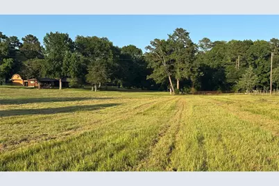 Tbd 24 Ac Johnson Rd, Montgomery, TX 77356 - Photo 24