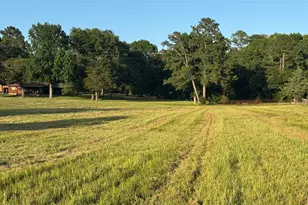 Tbd 24 Ac Johnson Rd, Montgomery, TX 77356 - Photo 24