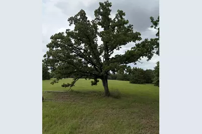 3231 Cr 427, Marquez, TX 77865 - Photo 42