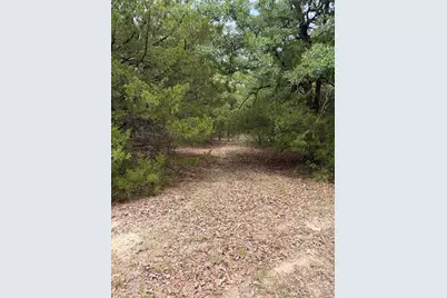 3231 Cr 427, Marquez, TX 77865 - Photo 28