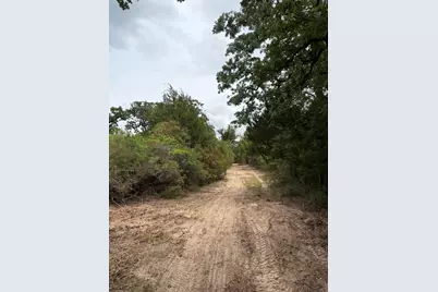 3231 Cr 427, Marquez, TX 77865 - Photo 34