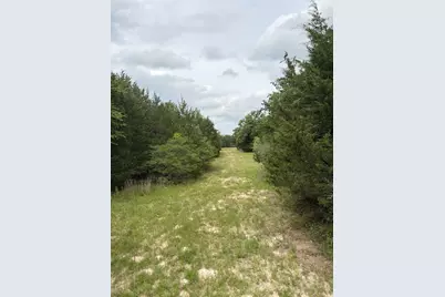 3231 Cr 427, Marquez, TX 77865 - Photo 38