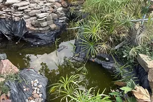 8407 Sonneville Dr, Houston, TX 77080 - Photo 1