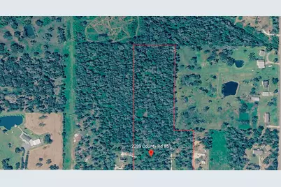 2289 County Road 851, Brazoria, TX 77422 - Photo 6