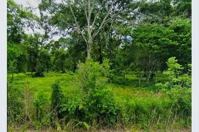 2289 County Road 851, Brazoria, TX 77422 - Photo 2