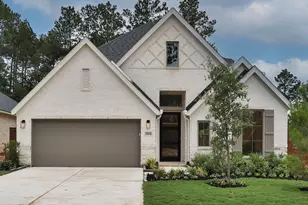 29874 Amber Brk Dr, Magnolia, TX 77354 - Photo 2
