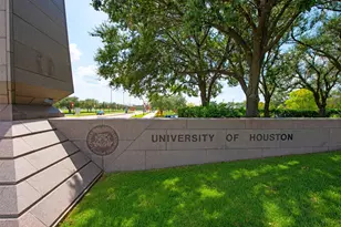 1325 Delano St, Houston, TX 77003 - Photo 34