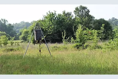 12789 E County Road 112, Centerville, TX 75833 - Photo 16