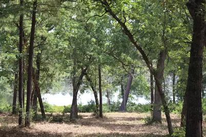 Tract 160 Private Road 1311, Centerville, TX 75833 - Photo 16