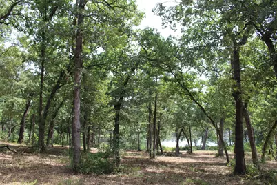 Tract 160 Private Road 1311, Centerville, TX 75833 - Photo 18