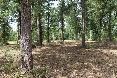 Tract 160 Private Road 1311, Centerville, TX 75833 - Photo 20