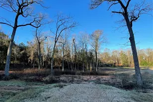 11363 Annie Creek Dr, Willis, TX 77378 - Photo 2