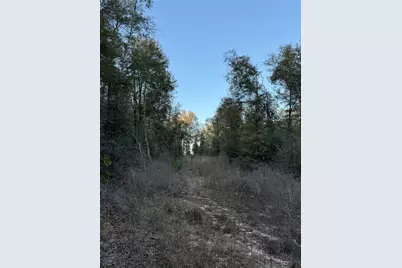 2511 County Road 4280, Woodville, TX 75979 - Photo 14