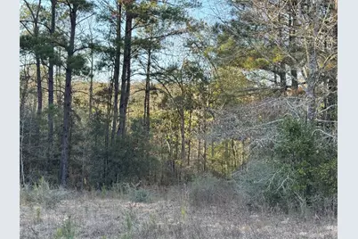 2511 County Road 4280, Woodville, TX 75979 - Photo 8