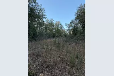 2511 County Road 4280, Woodville, TX 75979 - Photo 12