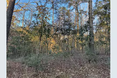 2511 County Road 4280, Woodville, TX 75979 - Photo 10