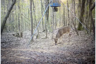 2511 County Road 4280, Woodville, TX 75979 - Photo 18