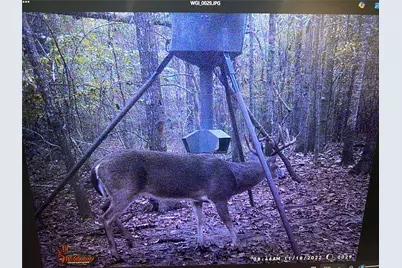 2511 County Road 4280, Woodville, TX 75979 - Photo 26