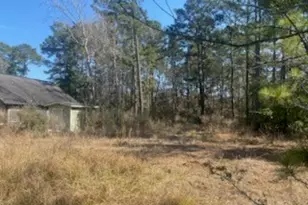 1513 Cheyenne Loop, Conroe, TX 77316 - Photo 4