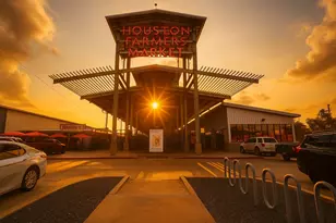 207 Tabor St, Houston, TX 77009 - Photo 22