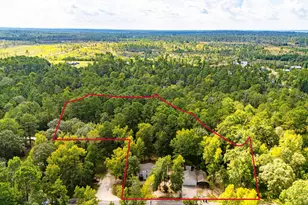118 Finch Dr, Livingston, TX 77351 - Photo 34