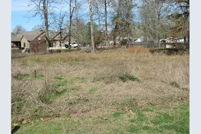 50 Hidden Oaks, Point Blank, TX 77364 - Photo 2