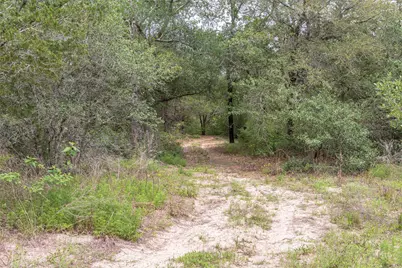 Tbd Fm 1094, New Ulm, TX 78950 - Photo 10