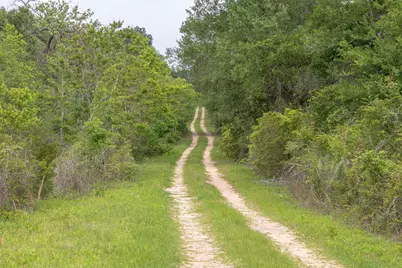 Tbd Fm 1094, New Ulm, TX 78950 - Photo 20