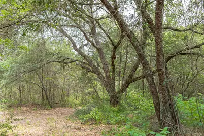 Tbd Fm 1094, New Ulm, TX 78950 - Photo 18