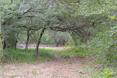 Tbd Fm 1094, New Ulm, TX 78950 - Photo 6