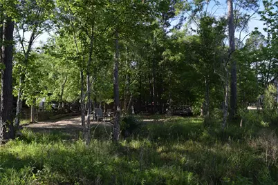 893 County Road 5015, Cleveland, TX 77327 - Photo 14