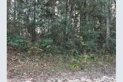 Tbd Gary Court, Livingston, TX 77351 - Photo 6