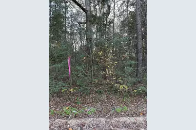 Tbd Gary Court, Livingston, TX 77351 - Photo 10