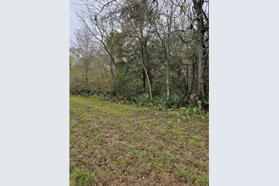 1070 County Road 136 / Live Oak, Van Vleck, TX 77482 - Photo 6