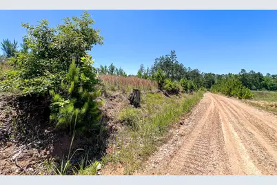 T-4 Union Springs Road, Corrigan, TX 75939 - Photo 10