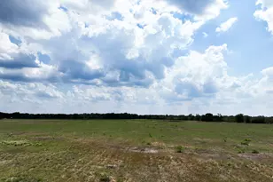 Tbd Farm To Market 2745, Kosse, TX 76653 - Photo 4