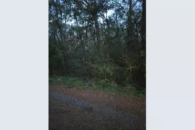 5 Lucy, Livingston, TX 77351 - Photo 10