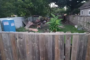 3219 Evella St, Houston, TX 77026 - Photo 4
