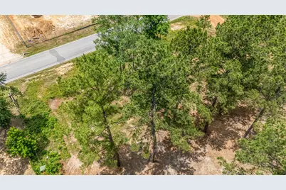 13907 Willis Waukegan Road, Conroe, TX 77303 - Photo 8