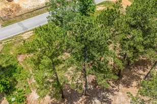 13907 Willis Waukegan Rd, Conroe, TX 77303 - Photo 8