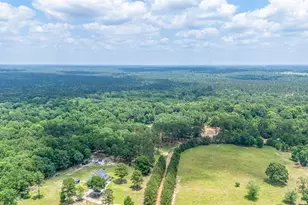 13907 Willis Waukegan Rd, Conroe, TX 77303 - Photo 16