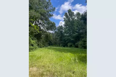 0 Jenkins Road North, Oakhurst, TX 77359 - Photo 4