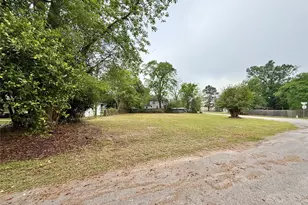 315 Dr Rick Kelley St St, Cleveland, TX 77327 - Photo 1