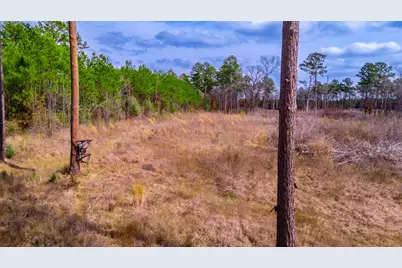 148 Private Road 8033, Crockett, TX 75835 - Photo 18